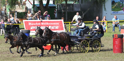Rüdiger Schulz gewann alle drei Prüfungen der Ponyvierspänner. Rüdiger Schulz gewann alle drei Prüfungen der Ponyvierspänner.